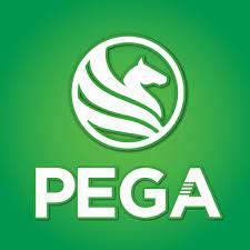 pega-Logo